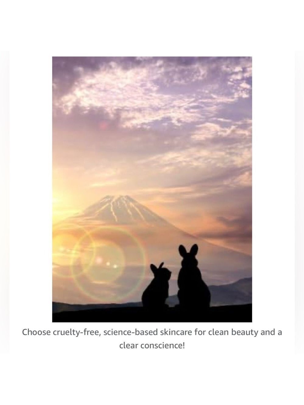 Real Chemistry Environmental Rescue Essential Daily Serum - Picture 8 of 10